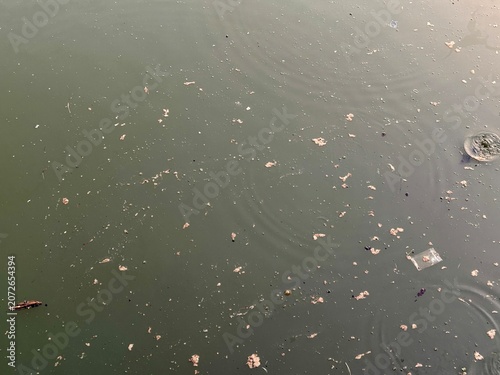 Fotografi Polluted water containing floating debris, organic matter, and plastic waste on the surface of a stagnant lake or pond