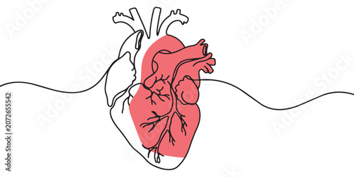 Continuous One Line Human Heart Anatomy Illustration with Medical Concept