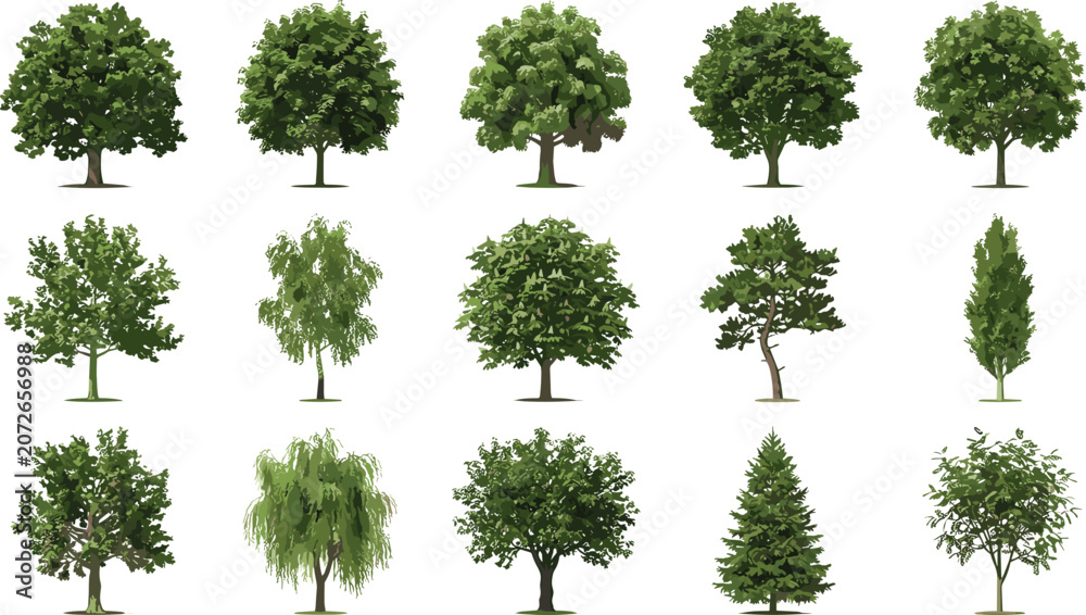 Fototapeta premium Set of sixteen diverse tree illustrations highlighting unique shapes, foliage density, and branching patterns for landscape and design projects