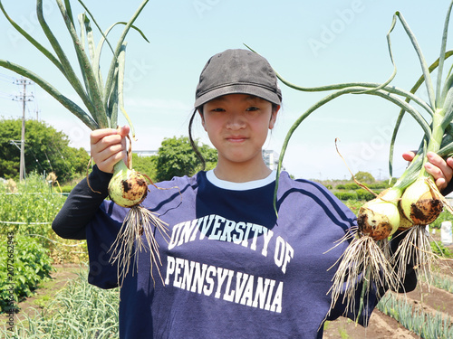 畑でお手伝いする女の子