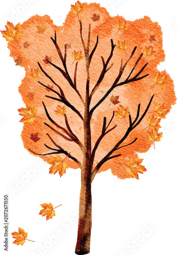 Detailed autumn maple tree with falling leaves illustration
