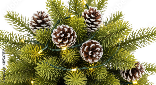 Evergreen pine branches with frosted pinecones and warm fairy lights during winter holiday season isolated on transparent background