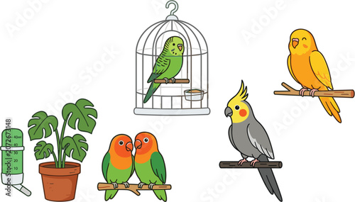 Photos Pet birds and parrot set vector illustration with budgerigar in cage cockatiel l