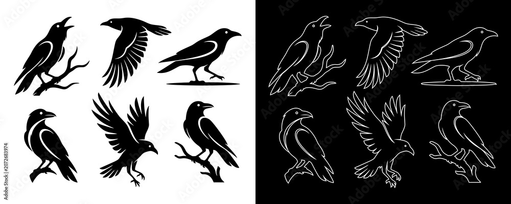 Fototapeta premium Raven and Crow Logo Vector Set: Mystical Black Bird Silhouettes and Line Art Icons for Modern Branding, Tattoo, and Mascot Design