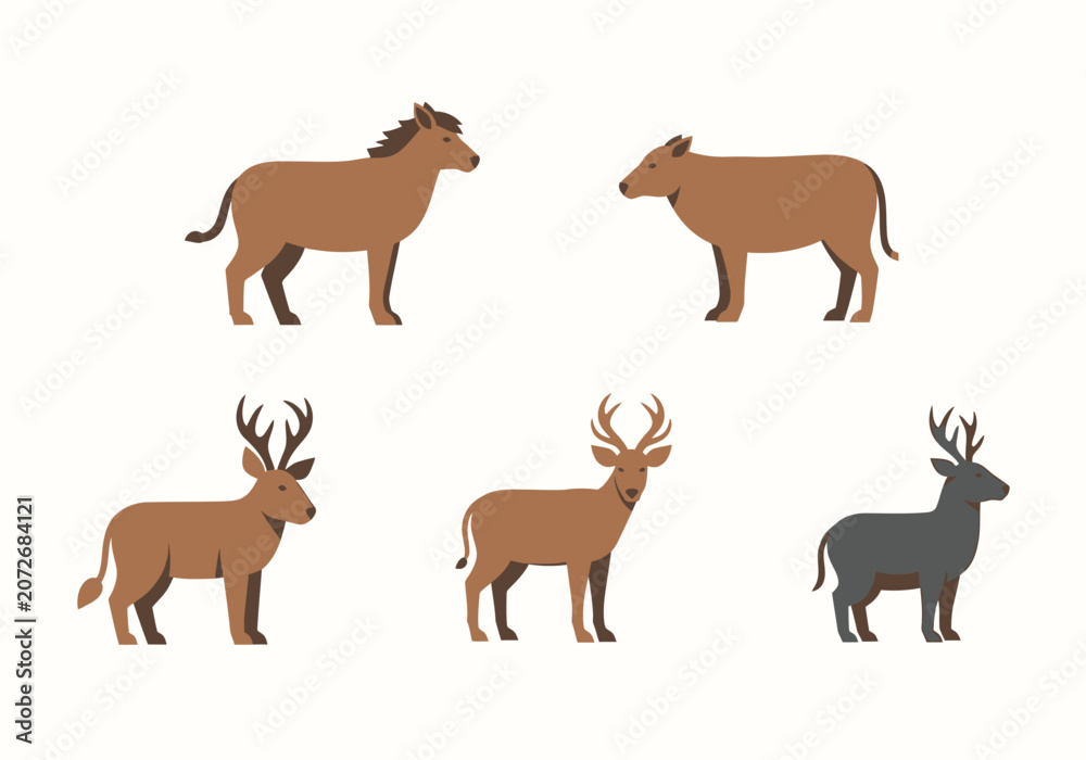Obraz premium Wild Animals Standing Side View