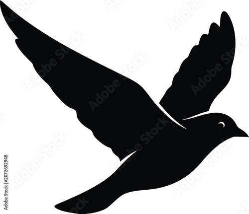 Black Bird Flying on White Background