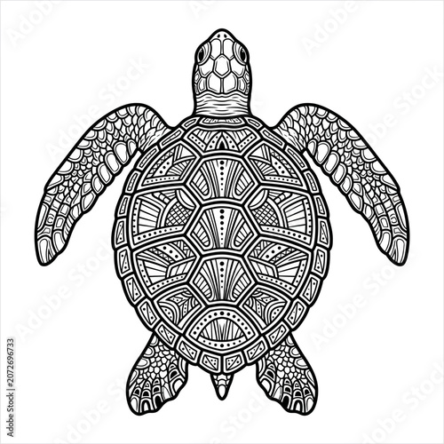Ornate Sea Turtle Line Art Illustration