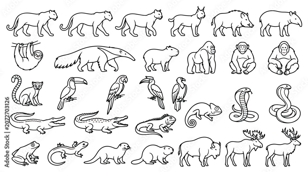 Naklejka premium Minimalist jungle animal icons set, black line art wildlife vector collection, exotic tropical fauna illustrations for educational infographics
