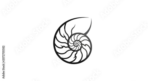 Black and white vector illustration of a nautilus shell on a plain background