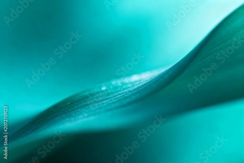 Abstract Teal Leaf with Water Droplets