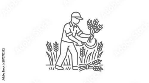 Schilderij op canvas Farmer harvesting wheat stalks with sickle line art icon.