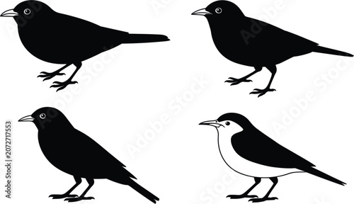 Fotografía Bird silhouette collection vector illustration, perched songbird icons isolated