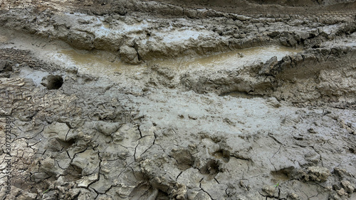 Wet Muddy Road Texture with Vehicle Tracks and Water Puddles