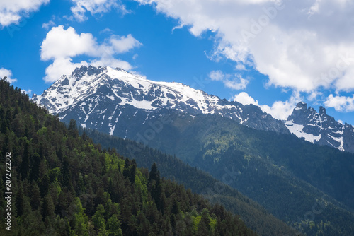 Snow-covered peaks tower over dense green forests beneath a clear blue sky with fluffy clouds, creating a picturesque mountain landscape