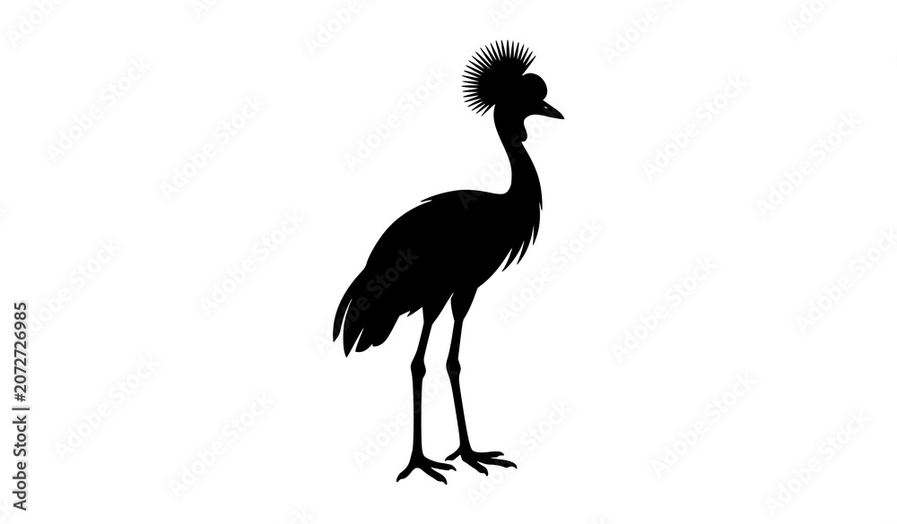 Fototapeta premium African Grey Crowned Crane Black Silhouette Isolated Bird Vector Icon on White Background