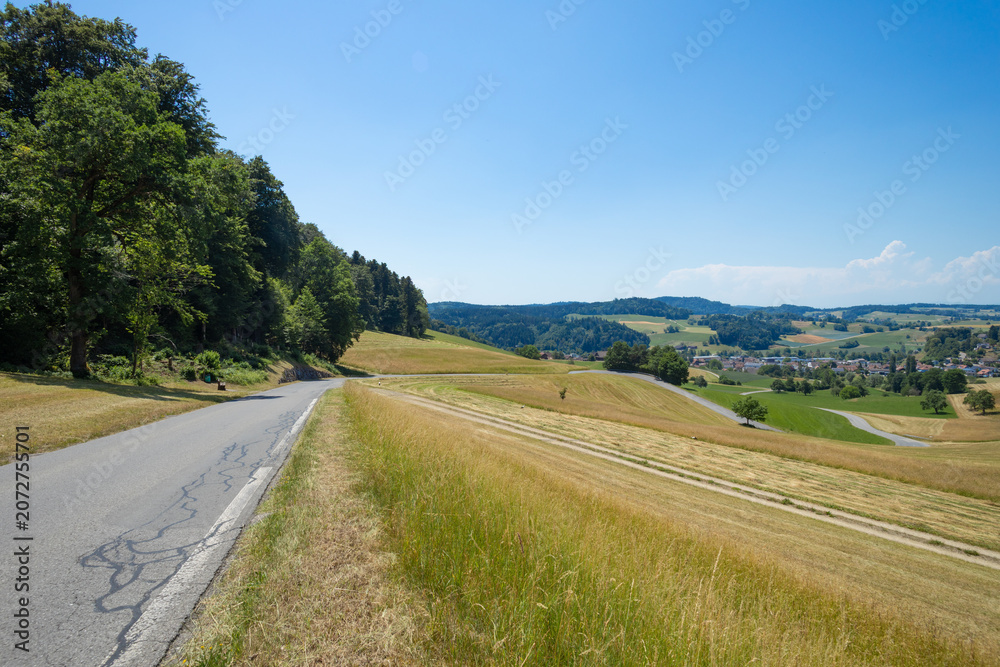 Fototapeta premium The beautiful landscape of the canton of Lucerne. Its well-kept nature with meadows and snakes and roads that cross it.