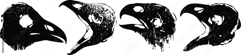 Fototapeta premium Four black raven heads in different poses showing detailed beak and eye features