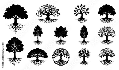 Obraz na płótnie Black tree with roots silhouette vector set featuring nature growth ancestry and