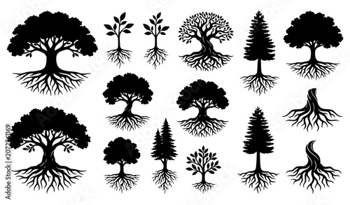 Tableau sur toile Isolated tree with roots silhouettes vector collection featuring natural growth