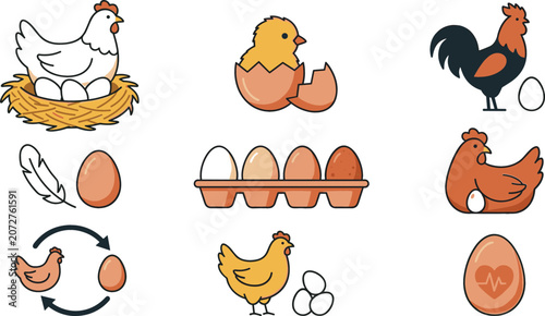 Foto Chicken life cycle and poultry farming icon set with hen rooster chick nest eggs