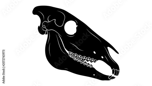 Photos Silhouette of a Horse Skull: A stark black silhouette of a horse skull, showcasing its intricate bone structure and powerful jawline, presented in a clear and impactful graphic style