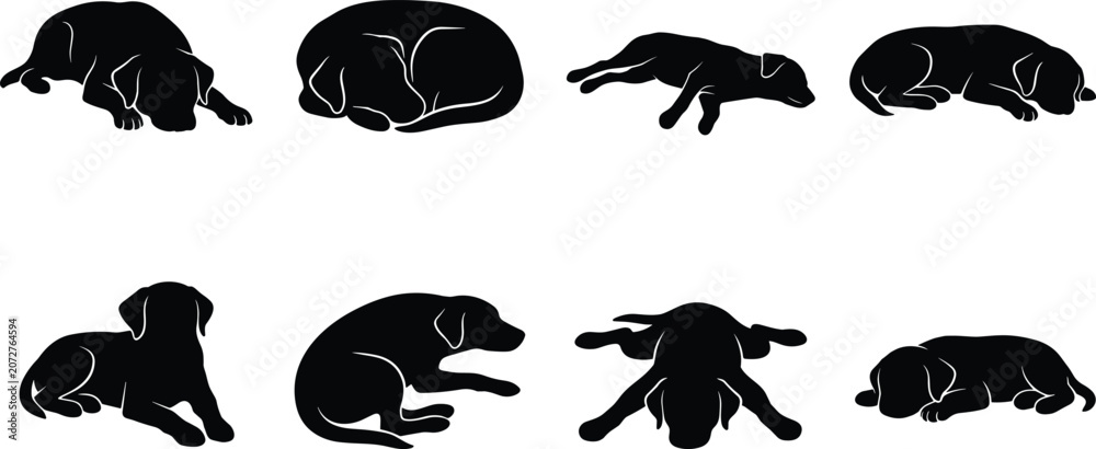 Fototapeta premium Black Silhouette Vector Set of Dogs Resting, Sleeping, and Lying Down in Peaceful Poses