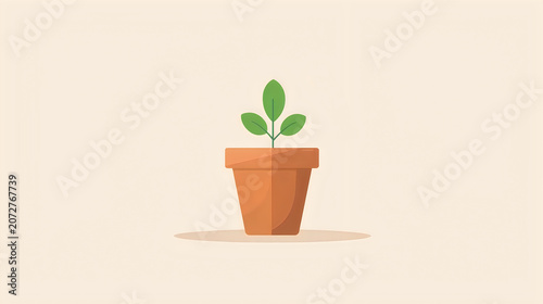 Small Green Plant Growing in a Terracotta Pot on a Light Background