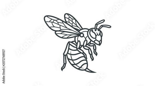 Flying wasp hornet insect line art icon.