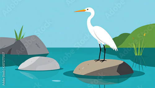 White Heron Standing on Rock Water.