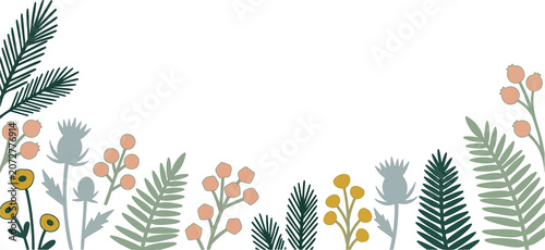 Fotografie Minimalist botanical border vector illustration featuring pine branches, fern fronds, and berries on white