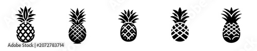 Pineapple silhouette vector icon set. Tropical fruit collection isolated on white background.
