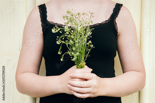 Kid holding herbal medicinal flower plant bouquet. Bouquet of Capsella bursa-pastoris, commonly known as shepherd's purse or lady's purse small herbal medicinal flower.