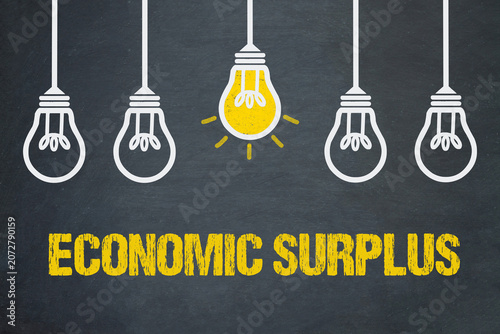 Economic Surplus	
