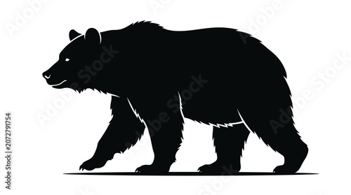 Fotografía Black bear walking on ground.