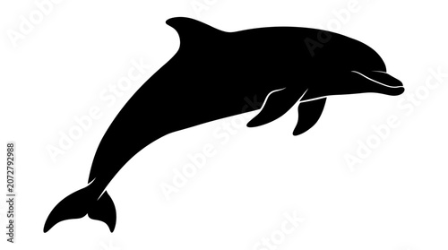Cuadro en lienzo Black dolphin swimming in water.