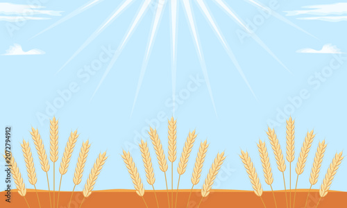 Wheat field under sunlight, flat vector illustration, farming background, banner. Landscape, scenery, nature, harvest.