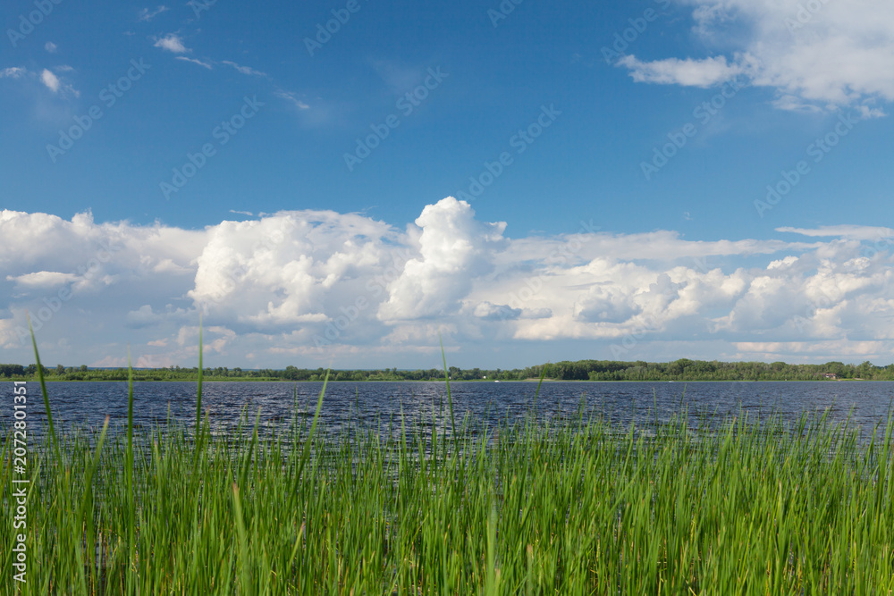 Obraz premium Sunny summer landscape with river and field