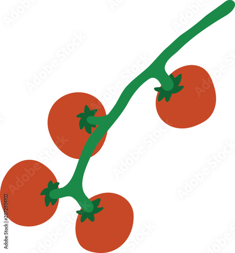 Cherry tomatoes on a branch