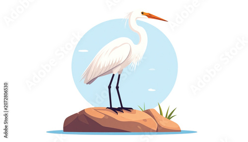 White Bird Standing on Rock Formation.