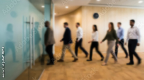 Group of professional business people walking in a modern office corridor