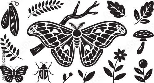 Black and white insect icons, moth, butterfly, bug illustrations, 15 piece set