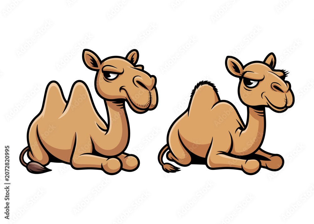 Fototapeta premium Cute Sitting Camel Cartoon Characters 