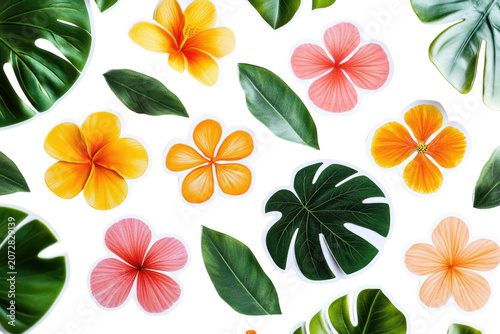 Beautifully arranged tropical hibiscus flowers and lush green monstera leaves creating a vibrant summer pattern aesthetic with bright colorful petals arranged flat on white background