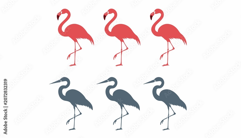 Obraz premium set of pink flamingos