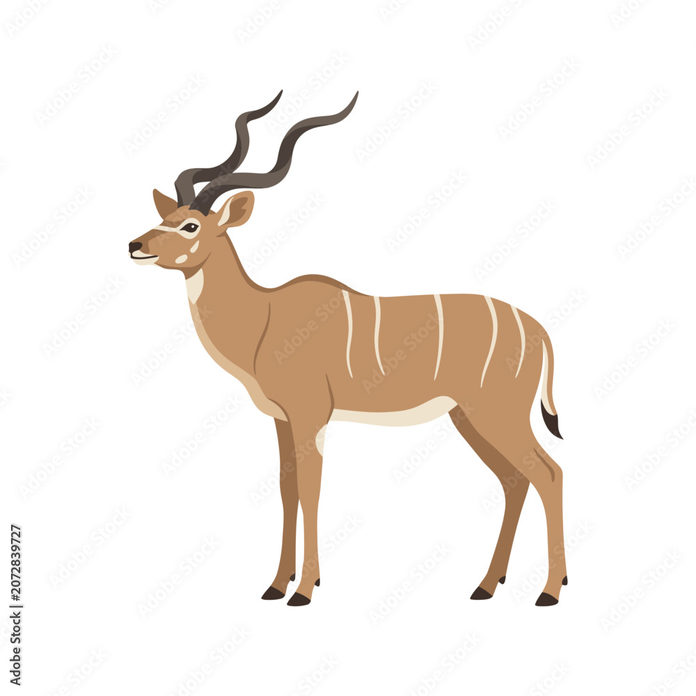 Fototapeta premium Full Body Illustration of a Majestic Greater Kudu Antelope Standing Isolated on White Background