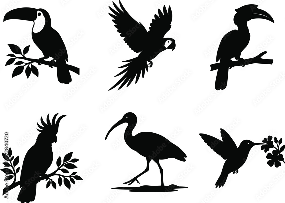Fototapeta premium Black bird silhouette vector collection featuring toucan, parrot, hornbill, cockatoo, ibis, and hummingbird