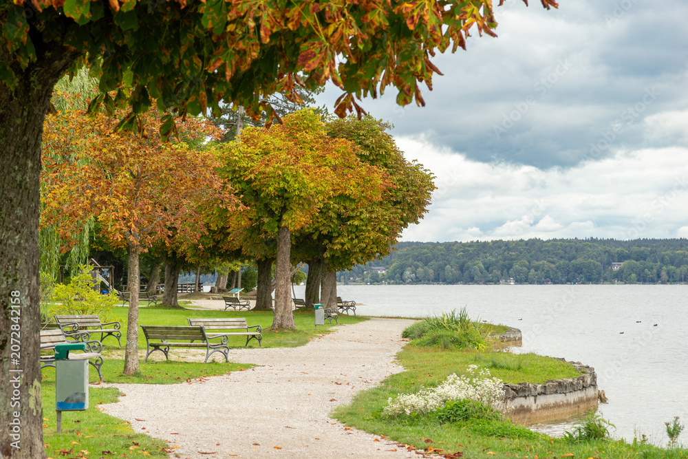 Fototapeta premium Autumnal Lakeside Park Path