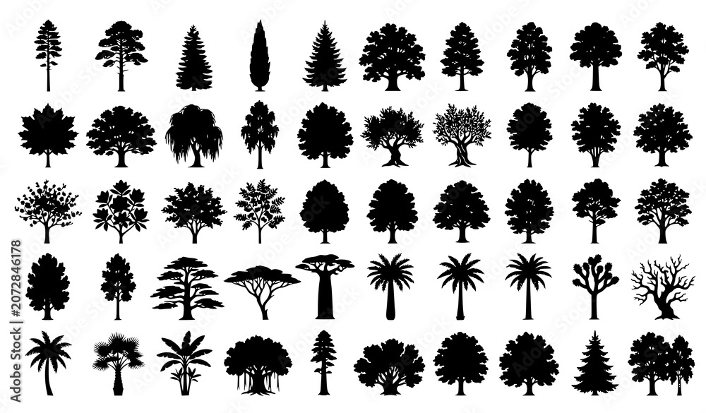 Fototapeta premium Tree Silhouette Collection with Diverse Forest and Botanical Vector Illustrations