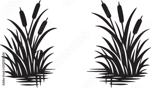 Two tall reeds growing in shallow water Vector