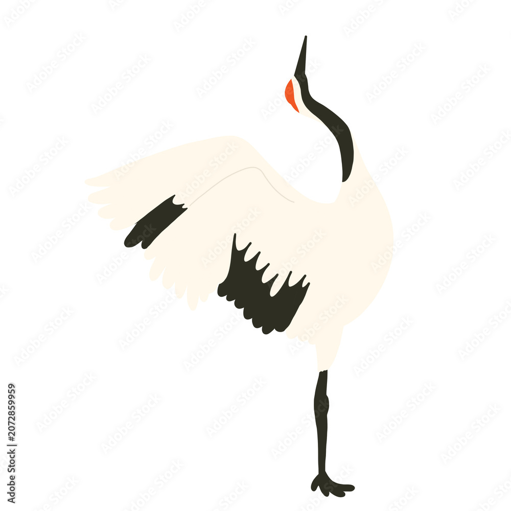Fototapeta premium Asian crane, standing and looking up, png, hand drawn